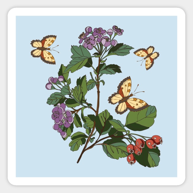 botanical illustration of a plant with berries and a butterfly Sticker by EEVLADA